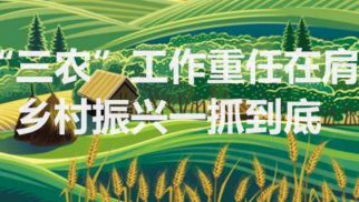 2021中央农村事情聚会：农村人居情形整治迈入新征程